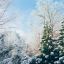 &laquo;Зимний фестиваль народных забав&raquo;