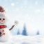 С наступающим Новым Годом!