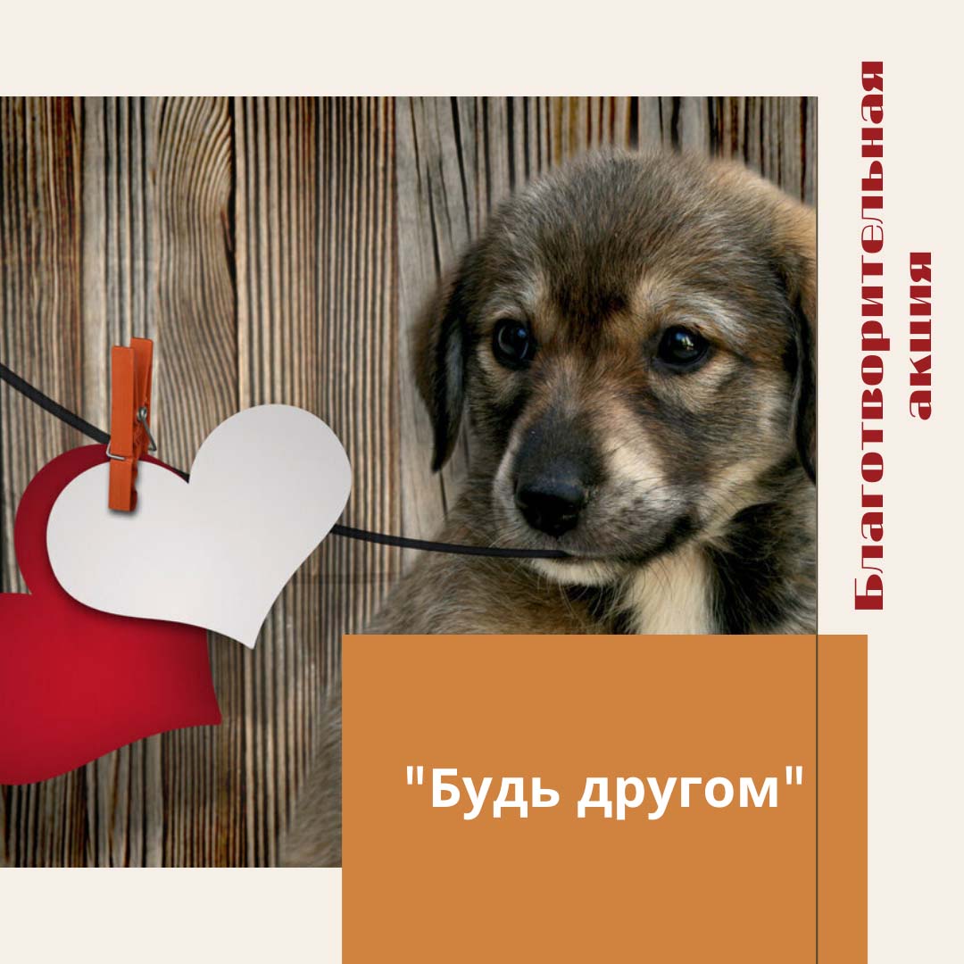 Баннер «Будь другом» Баннер «Будь другом»