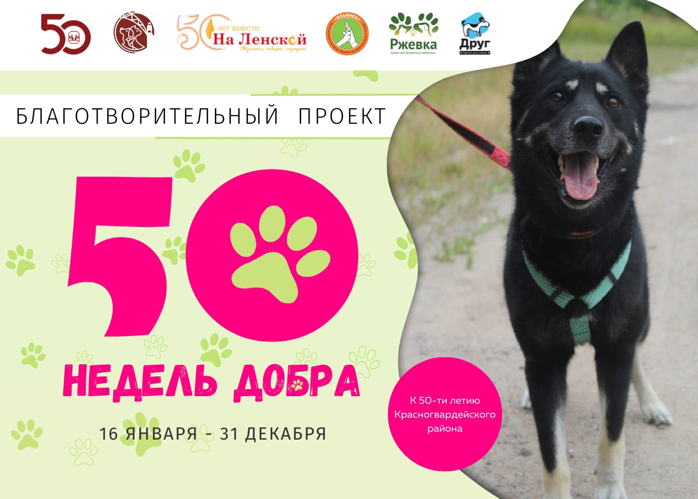 Проект представляет собой мобильную инсталляцию, которая не только рассказывает как помочь животным, но и знакомит с ними